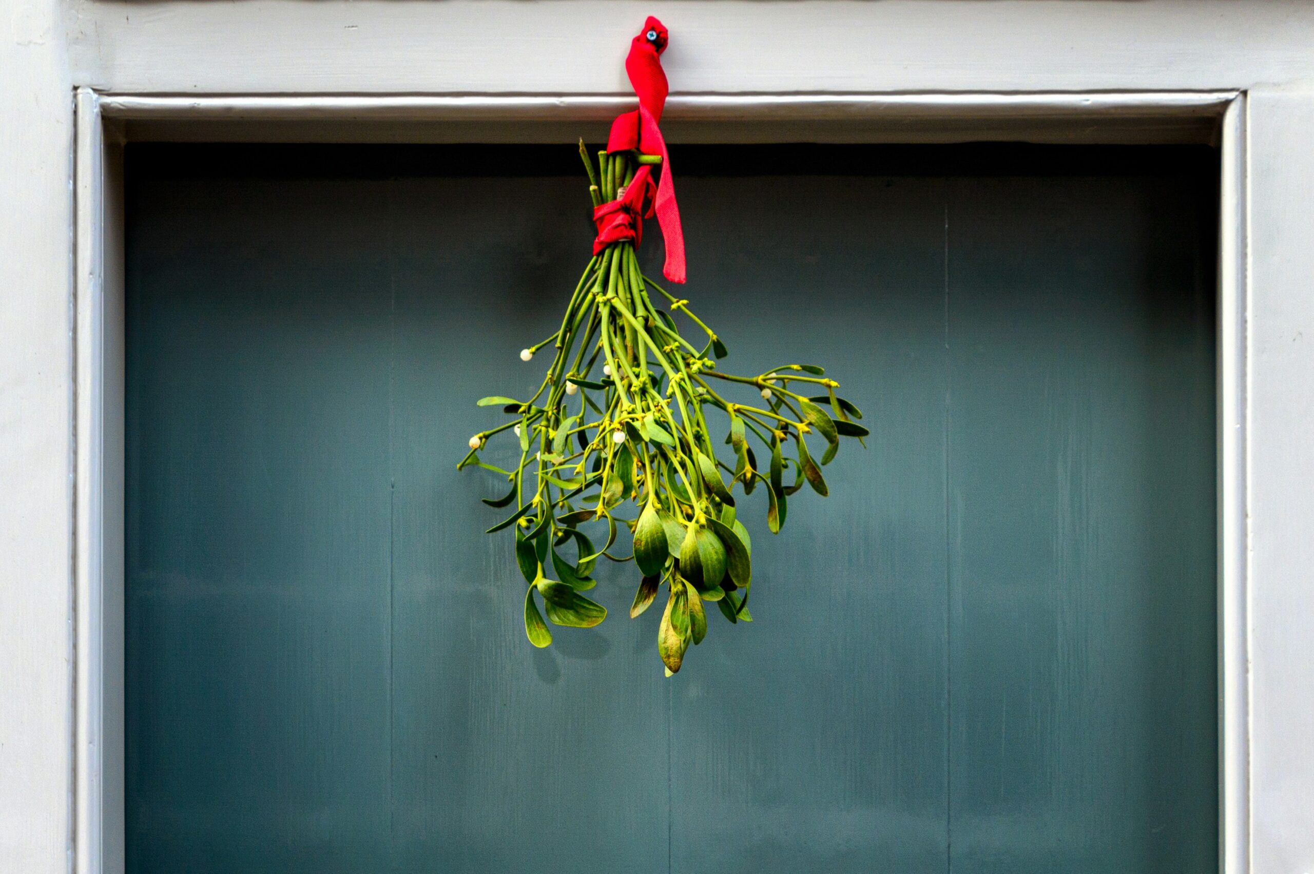 Sprig of mistletoe hanging from red ribbon in front of teal doorway